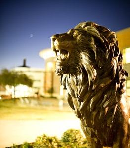 TAMUC lion statue on campus.